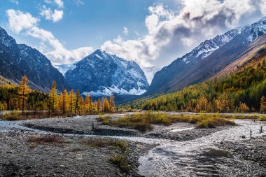 Aktru Nehri 'nin Sonbahar Vadisi, Kuzey Chuysky Dağları' nın buzullarının eteklerinde. Kosh-Agachsky Bölgesi, Altai Cumhuriyeti, Rusya