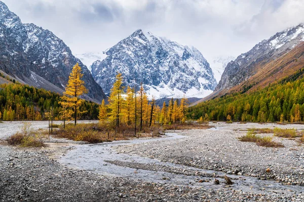 Aktru Nehri Nin Sonbahar Vadisi Kuzey Chuysky Dağları Nın Buzullarının — Stok fotoğraf