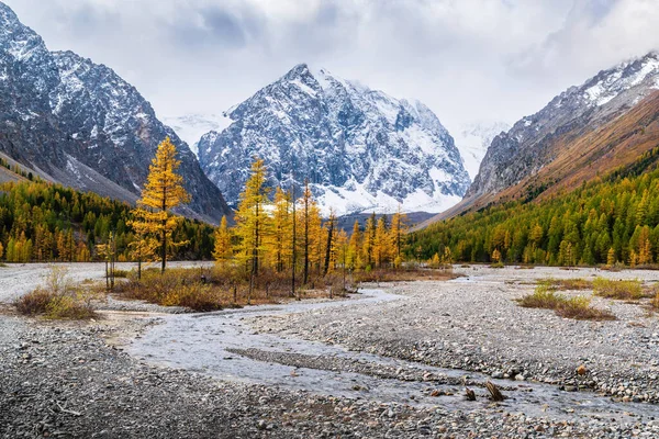 Hösten Valley Aktru Floden Vid Foten Glaciärerna North Chuysky Range — Stockfoto