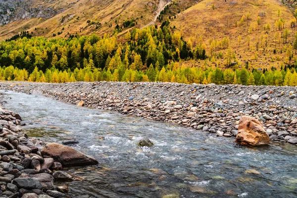 Aktru Nehri Vadisi Nde Sonbahar Severo Chuysky Sırtı Altai Cumhuriyeti — Stok fotoğraf
