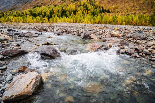 Ősz Aktru Folyó Völgyében Severo Chuysky Ridge Altai Köztársaság Oroszország — Stock Fotó