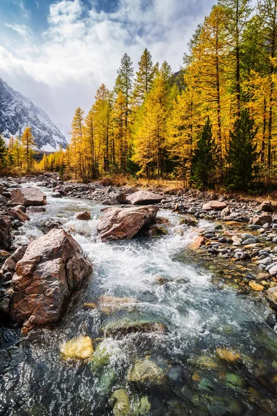 Φθινόπωρο Στην Κοιλάδα Του Ποταμού Ακτρού Severo Chuysky Ridge Δημοκρατία — Φωτογραφία Αρχείου
