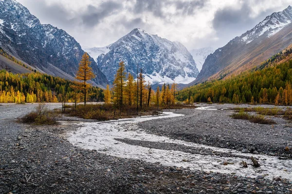 秋谷的Aktru河 在冰川下方的北部Chuysky山脉 俄罗斯阿尔泰共和国Kosh Agachsky区 — 图库照片