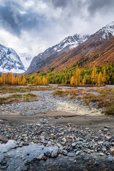 Herbst Aktru Flusstal Severo Chuysky Gebirge Republik Altai Russland — Stockfoto