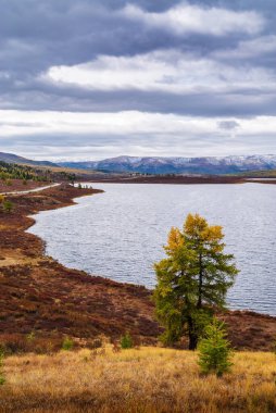Sonbahar dağ manzarası, Uzunkel Gölü kıyısı. Ulagansky Bölgesi, Altai Cumhuriyeti, Rusya
