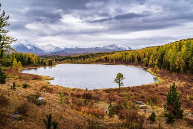 Kidelu Gölü manzarası ve ufuktaki Kurai tepesinin karlı zirveleri. Sonbahar dağ manzarası. Ulagansky Bölgesi, Altai Cumhuriyeti, Rusya