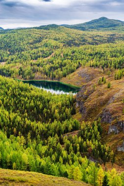 Uchkol Gölü manzarası. Sonbahar taiga manzarası. Ulagansky Bölgesi, Altai Cumhuriyeti, Rusya