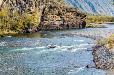 Bir dağ nehri Chulyshman ile sonbahar manzarası. Ulagansky Bölgesi, Altai Cumhuriyeti, Rusya