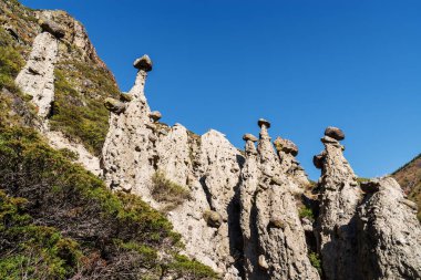 Taş mantarlar, kayalarda rüzgar erozyonu. Rusya, Altai Cumhuriyeti, Ulagansky Bölgesi, Chulyshman Vadisi, Akkurum Bölgesi