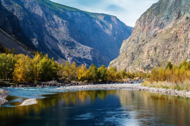 Sonbahar sabahı dağ nehir manzarası. Rusya, Altai Cumhuriyeti, Ulagansky Bölgesi, Chulyshman Nehri