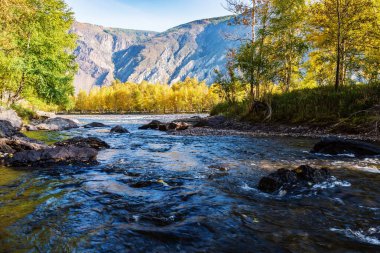 Sonbahar sabahı dağ nehir manzarası. Rusya, Altai Cumhuriyeti, Ulagansky Bölgesi, Chulyshman Nehri