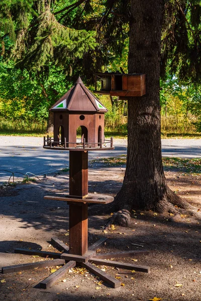Alimentadores Pássaros Parque Cidade Barnaul City Emerald Park Altai Territory — Fotografia de Stock