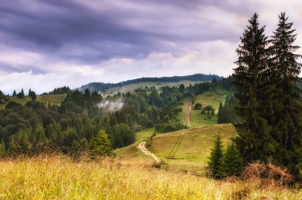 Dağ çayır dramatik gökyüzü ile yol. Kırsal dağlar manzara