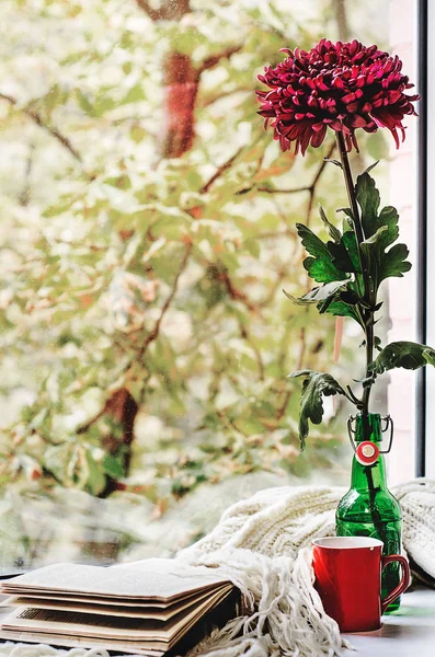 Sonbahar natürmort çiçek vazoda, kitap, çay veya kahve açmak ve halı örme