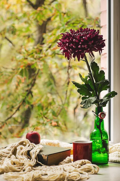 Sonbahar natürmort çiçek vazo içinde açık kitap, apple, çay veya kahve ve halı örme