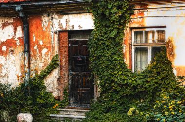 Kapı ve pencere terk edilmiş yıkık duvar üzerinde vahşi Ivy