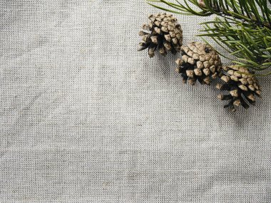 Noel ağacı ve koniler pamuk bez arka plan üzerinde.