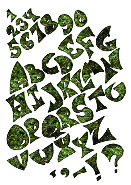 Κωνοφόρα αλφάβητο γράμματα σε άσπρο φόντο — Φωτογραφία Αρχείου
