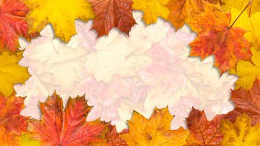 Çerçeve parlak akçaağaç yapılmış bırakır. Boyutu 16 x 9