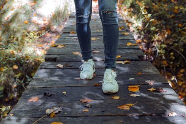 Sonbaharda ormanda yürüyorum.