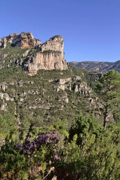 Φυσικό πάρκο βόρεια από το η Κοινότητα της Βαλένθια. — Φωτογραφία Αρχείου