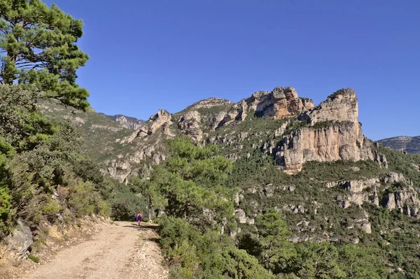 Benifassa. Északra a Valenciai Közösség természeti park — Stock Fotó