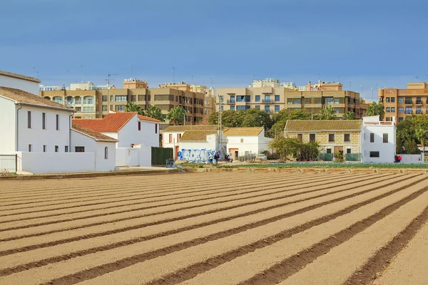 Typiska landskapet i orchard nära Valencia staden — Stockfoto