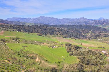 Yolları çayır ve dağlar Ronda yanında. Andalucia