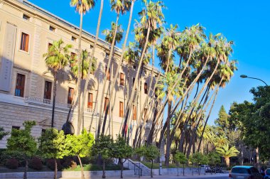 Gümrük ve palmiye ağaçları, Malaga bina Müzesi. İspanya
