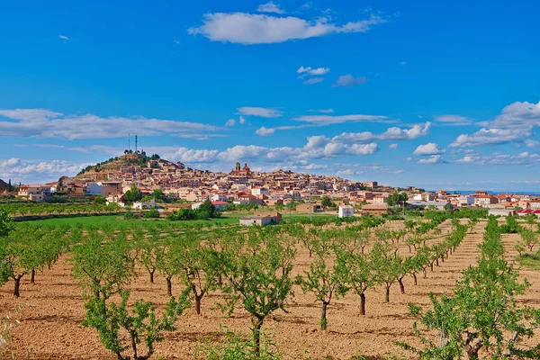 Panoramic view of the Calaceite village, Aragon 로열티 프리 스톡 사진