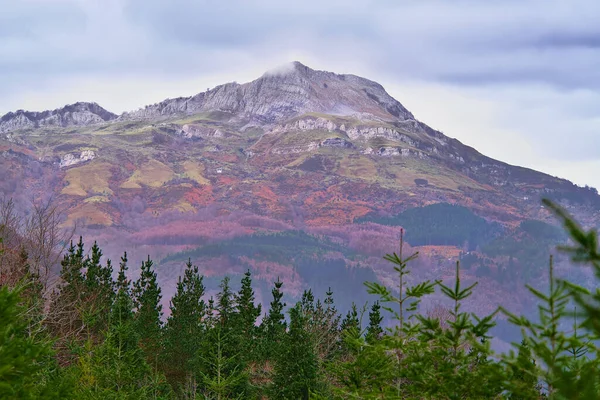 Cores de inverno no Parque Natural da Gorbea Imagens De Bancos De Imagens