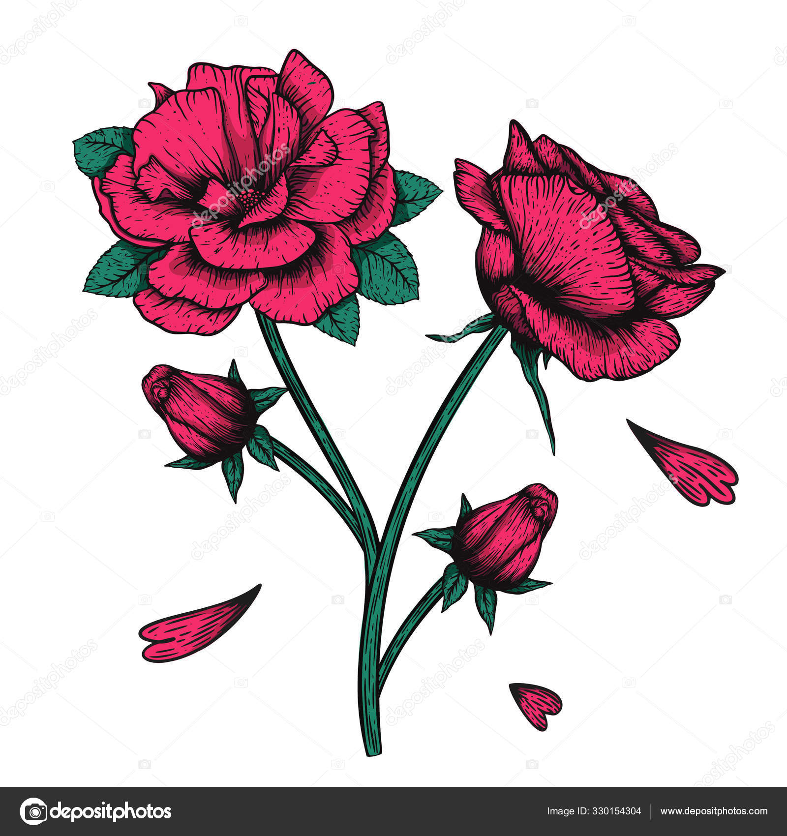 Elle Cizilmis Vektor Oymasi Gul Cizimi Kumas Baski Ve Davetiye