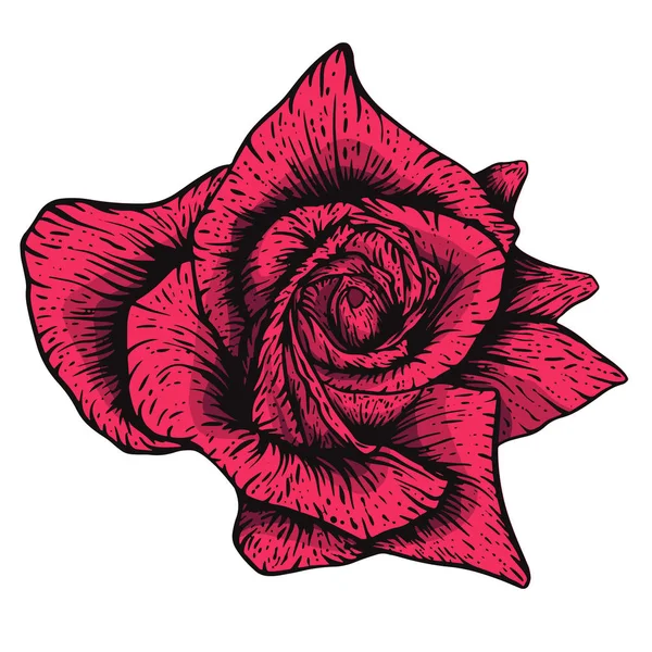 Grabado vectorial dibujado a mano estilo tatoo rosa ilustración. Ideal para tela, impresión e invitación . — Archivo Imágenes Vectoriales