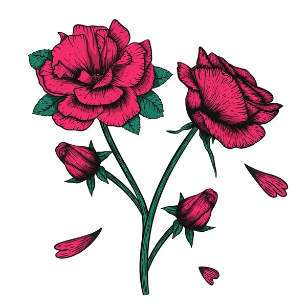Vector etching handdrawn tatoo style rose illustration. Great for fabric, print and invitation. — 스톡 벡터