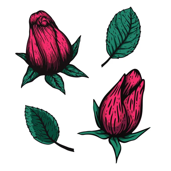 Vector etching handdrawn tatoo style rose illustration. Great for fabric, print and invitation. — 스톡 벡터