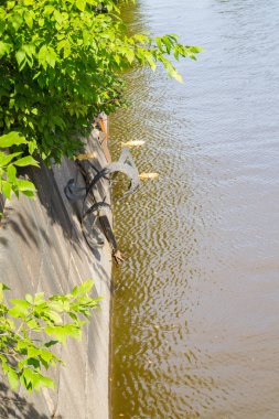 Kronstadt stickle geri balıkta yaz aylarında Anıtı