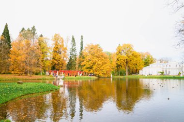 Güzel renkli sonbahar Lomonosov parkta