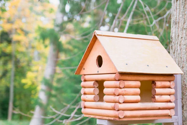 Dřevěný holubník v krásné podzimní Park — Stock fotografie