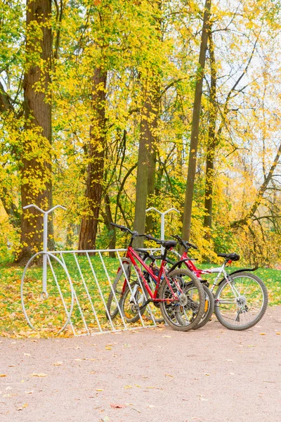 Zaparkowane rowery na parkingu w parku jesienią — Zdjęcie stockowe