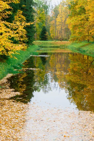 Autumn pond in the Park strewn with yellow leaves Stock Picture