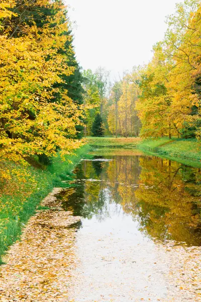 Autumn pond in the Park strewn with yellow leaves Royalty Free Stock Photos
