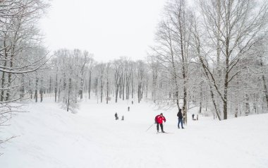 Kar kış parkta insanlar yürümek