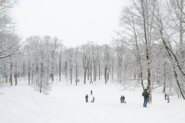 Kar kış parkta insanlar yürümek