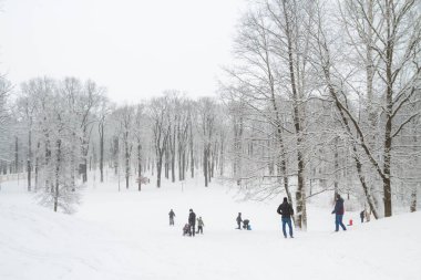 Kar kış parkta insanlar yürümek