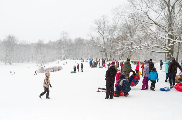 Tepelerin kar ile cheesecakes kızağı ve sno pateni kış eğlence