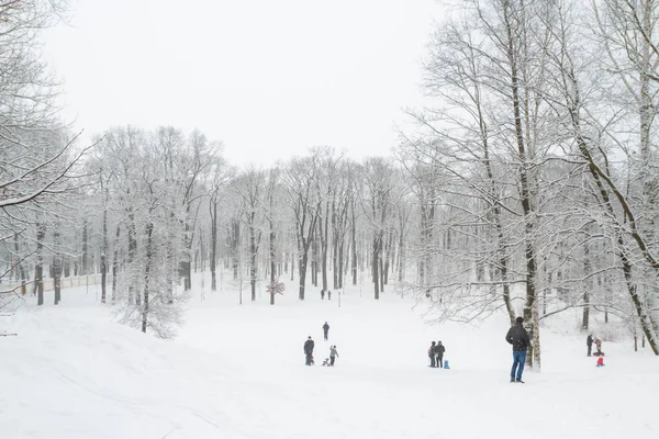 Kar kış parkta insanlar yürümek