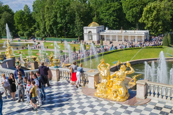 The famous Park of fountains in Peterhof in the summer — Stock Photo, Image