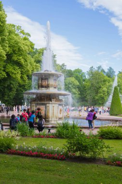 Peterhof pınarlarına yaz aylarında ünlü Park