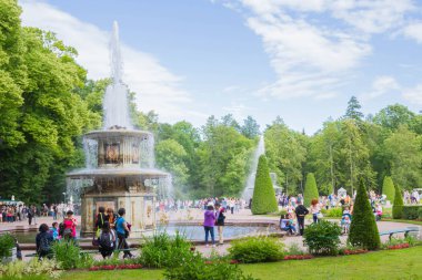 Peterhof pınarlarına yaz aylarında ünlü Park