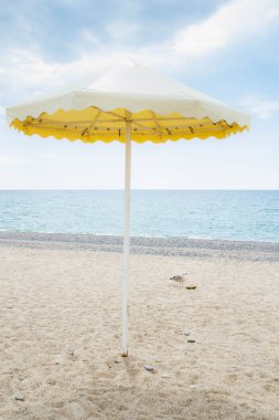 Yaz sahilde sarı şemsiye